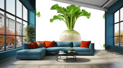 Set of A fresh, crisp turnip with its green leaves still attached isolated on transparent background  (2) Wall mural