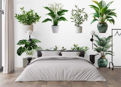 A variety of indoor plants are displayed in white and green pots, set against a plain white background. The plants include a peace lily, a monstera, a ficus, and others Wall mural