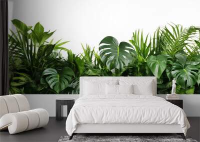 Beautiful composition with fern and other tropical leaves on white background. Banner design Wall mural