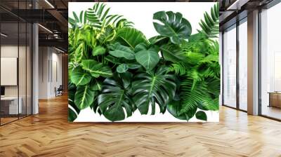 Beautiful composition with fern and other tropical leaves on white background. Banner design Wall mural