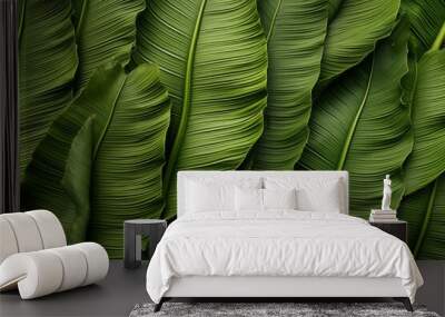 Detailed view of a vibrant green banana leaf with intricate patterns and textures  Wall mural