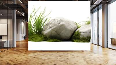 Green moss with decorative rocks and grass isolated on white background Wall mural