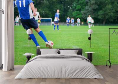 soccer player kicks the ball. horizontal image of soccer ball wi Wall mural