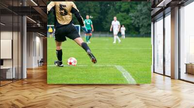 soccer player kicks the ball. horizontal image of soccer ball wi Wall mural