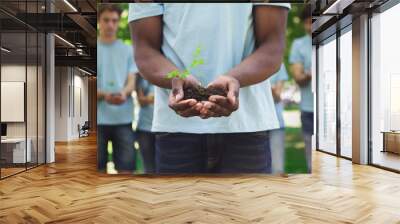 African-american man hands holding plant in soil Wall mural