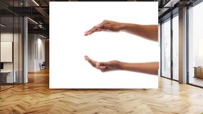 Black Woman's Hands Holding Something Isolated On White Background Wall mural