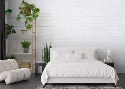 bookcase with various plants over white wall Wall mural