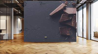 Broken chocolate pieces and cocoa powder on black background Wall mural