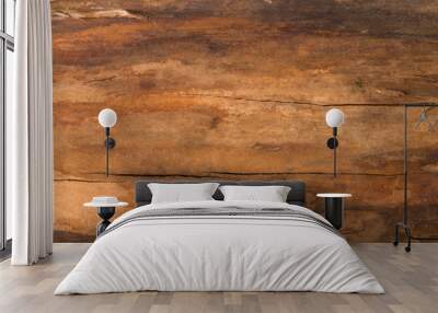 Brown natural wood texture closeup background Wall mural