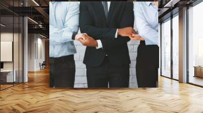 Business team holding hands, standing in row Wall mural