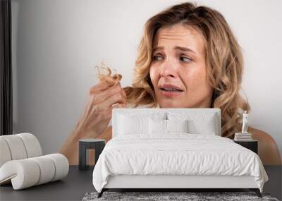 Dry Ends. Stressed middle aged female looking at her damaged hair Wall mural