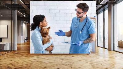 Experienced veterinarian doctor talking to client in medical office Wall mural