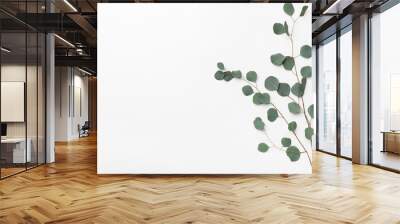 Green branch of tree isolated on white Wall mural