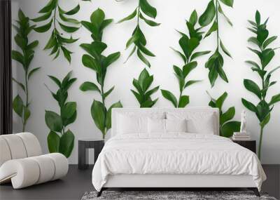 Green plant branches isolated on white background Wall mural