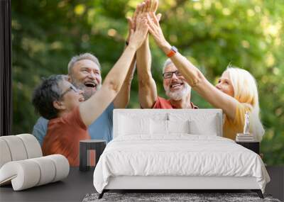 Group Of Happy Senior People Giving High Five To Each Other Outdoors Wall mural