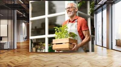 Handsome Mature Gardener Man Carrying Crate With Potted Plants Outdoors Wall mural