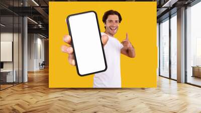 Man pointing at white empty smartphone screen, mockup Wall mural