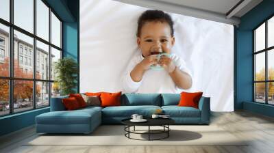 Portrait Of Adorable African American Baby Biting Teether And Looking At Camera Wall mural