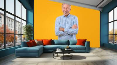 Portrait of happy mature man posing at studio Wall mural