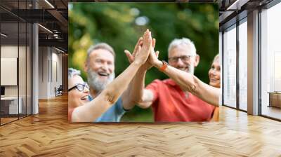 Portrait Of Happy Mature People Giving High Five To Each Other Outdoors Wall mural