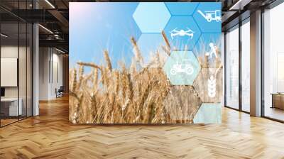 Precision agriculture network icons on wheat field background Wall mural