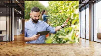 Tech for controlling cultivation of eco fruits, mobile app for gardening Wall mural