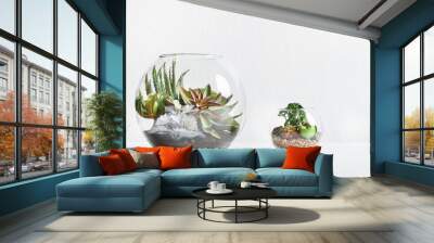 Two glass forarium vases at grey background Wall mural