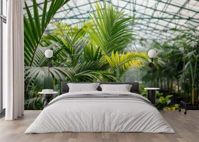 Vibrant tropical plants thrive in a greenhouse, illuminated by soft morning light filtering through the glass roof. Wall mural