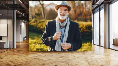 Handsome grandfather in a autumn park. Old man in a gray jacket and hat. Wall mural