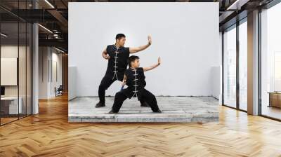 Father and son are engaged in Wushu in the city. The photo illustrates a healthy lifestyle and sport. The father trains the son. Wall mural