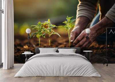 Close-up of a farmer's hands planting seeds in rich soil, rows of crops visible, focusing on the connection between humans and the earth, Photorealistic, farmin Wall mural