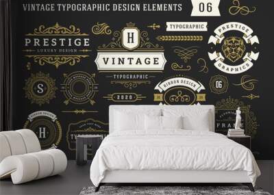 Vintage typographic decorative ornament design elements set vector illustration Wall mural