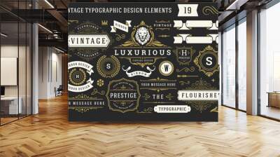 Vintage typographic decorative ornament design elements set vector illustration Wall mural