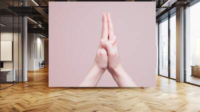 Praying hands gesture. Hand signs communication concept, copy space Wall mural