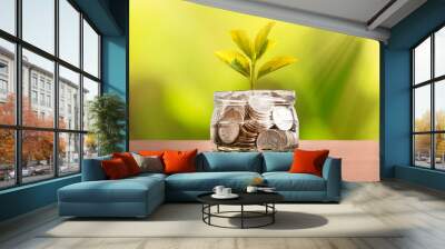 Budget, saving money with growing plant from jar Wall mural