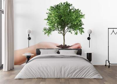 Green tree render growing in hands Wall mural