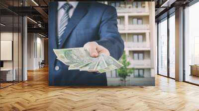 Real estate agent holds Polish money Wall mural