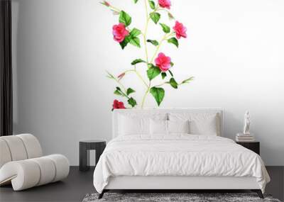 A beautiful rose vine with vibrant pink flowers and lush green leaves on a transparent background, perfect for graphic design projects. Wall mural