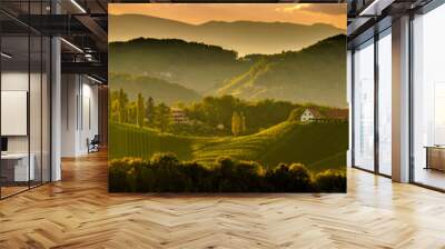 South styria vineyards landscape, near Gamlitz, Austria, Eckberg, Europe. Grape hills view from wine road in spring. Tourist destination, panorama Wall mural