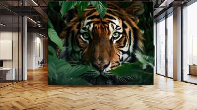 dangerous wild tiger with striped fur and green eyes hiding in green foliage and looking at camera during hunt  Wall mural