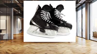 black skates isolated on white Wall mural