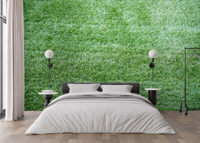 Green grass texture. Wall mural