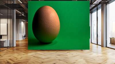 brown chicken egg on green background Wall mural