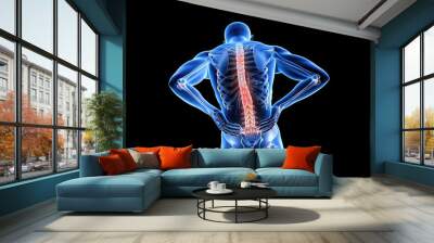 Back pain light image, 3d illustration, transparent image showing the spine, showing pain symptoms. Wall mural