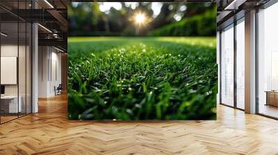 Close-up background of a green grass football field in a low angle shot. Wall mural