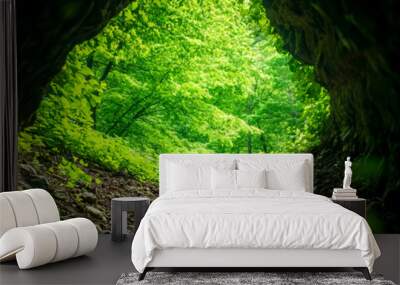 A lush green view framed by a dark tunnel, inviting exploration and adventure in nature's serene beauty. Wall mural