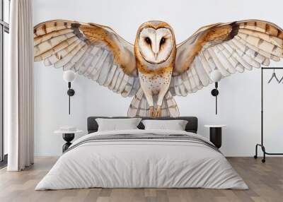 Close-up of a barn owl in flight with wings spread wide, showcasing detailed feathers and piercing eyes against a white background. Wall mural