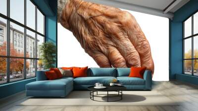 Close-up of an elderly hand showing wrinkles and age spots, highlighting the effects of aging on skin and the beauty of life experiences. Wall mural