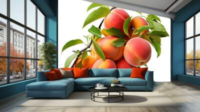 Close-up of fresh organic peaches hanging on a tree branch with green leaves. Wall mural