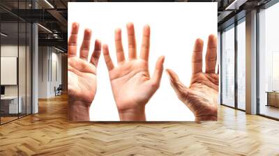 Close-up view of three diverse hands showing various skin tones and textures, symbolizing diversity and human connection. Wall mural